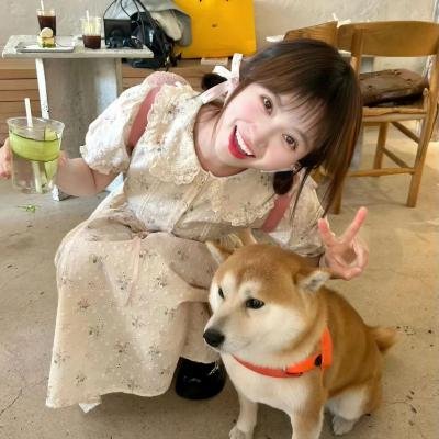 簪定此生